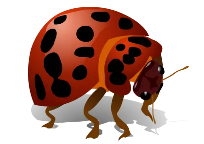 Red Spotted Cartoon Ladybug