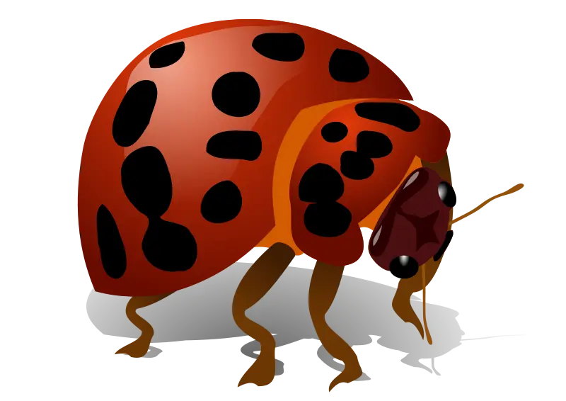 Red Spotted Cartoon Ladybug