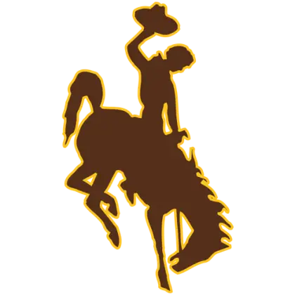 Cowboy Riding a Horse
