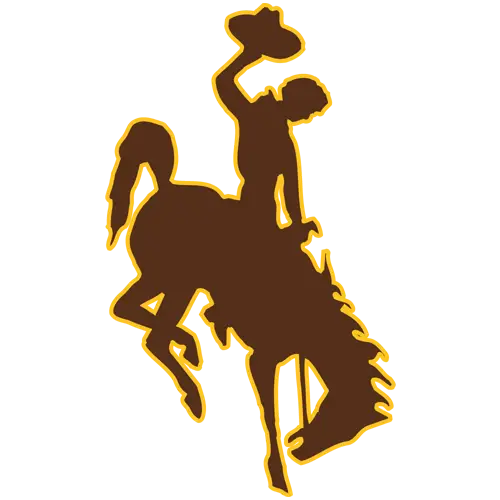Cowboy Riding a Horse