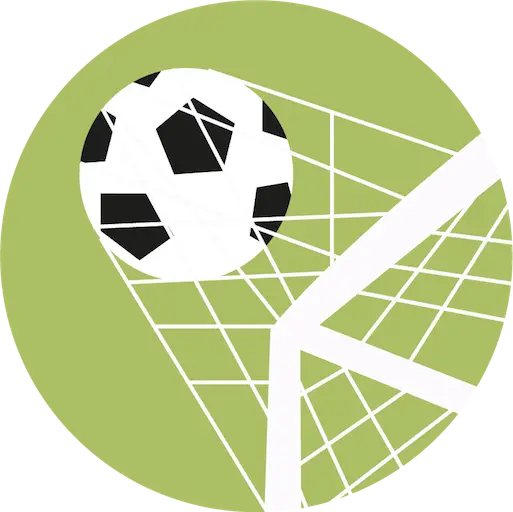 Soccer Ball in Goal Net