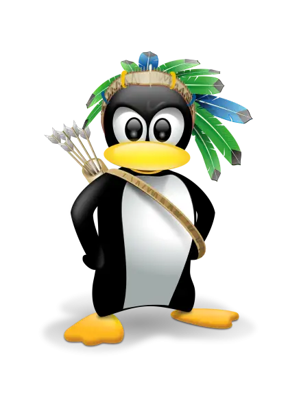 Penguin with Headdress for Fun Adventures