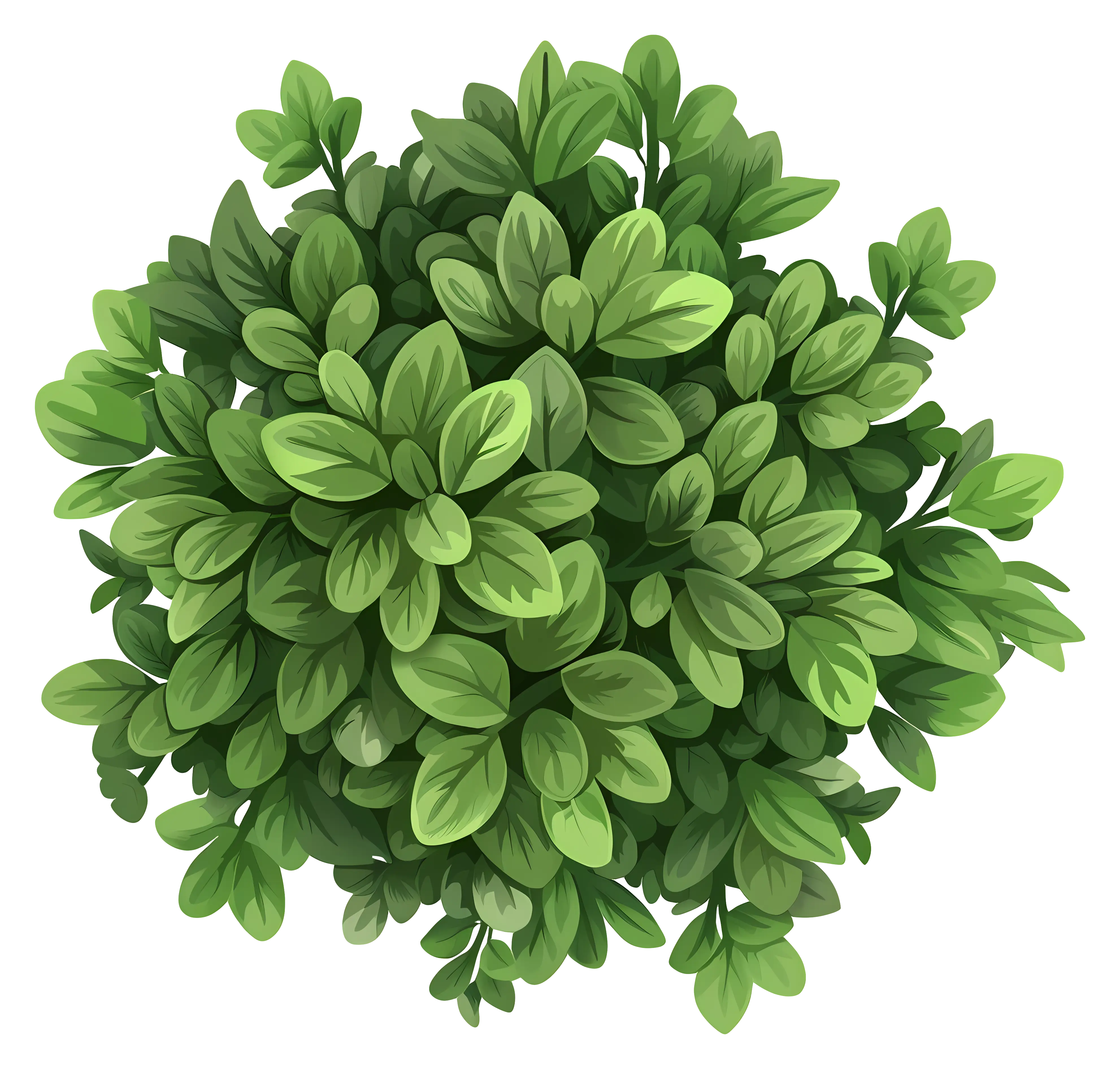 Dense Green Bush Illustration