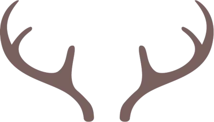 Illustration of Antlers