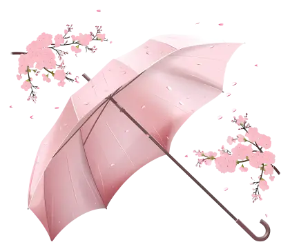 Pink Umbrella with Cherry Blossoms