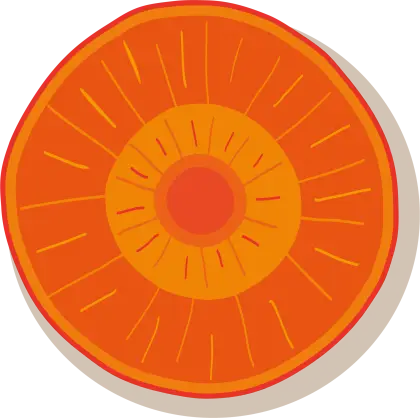 Illustration of an Orange Slice