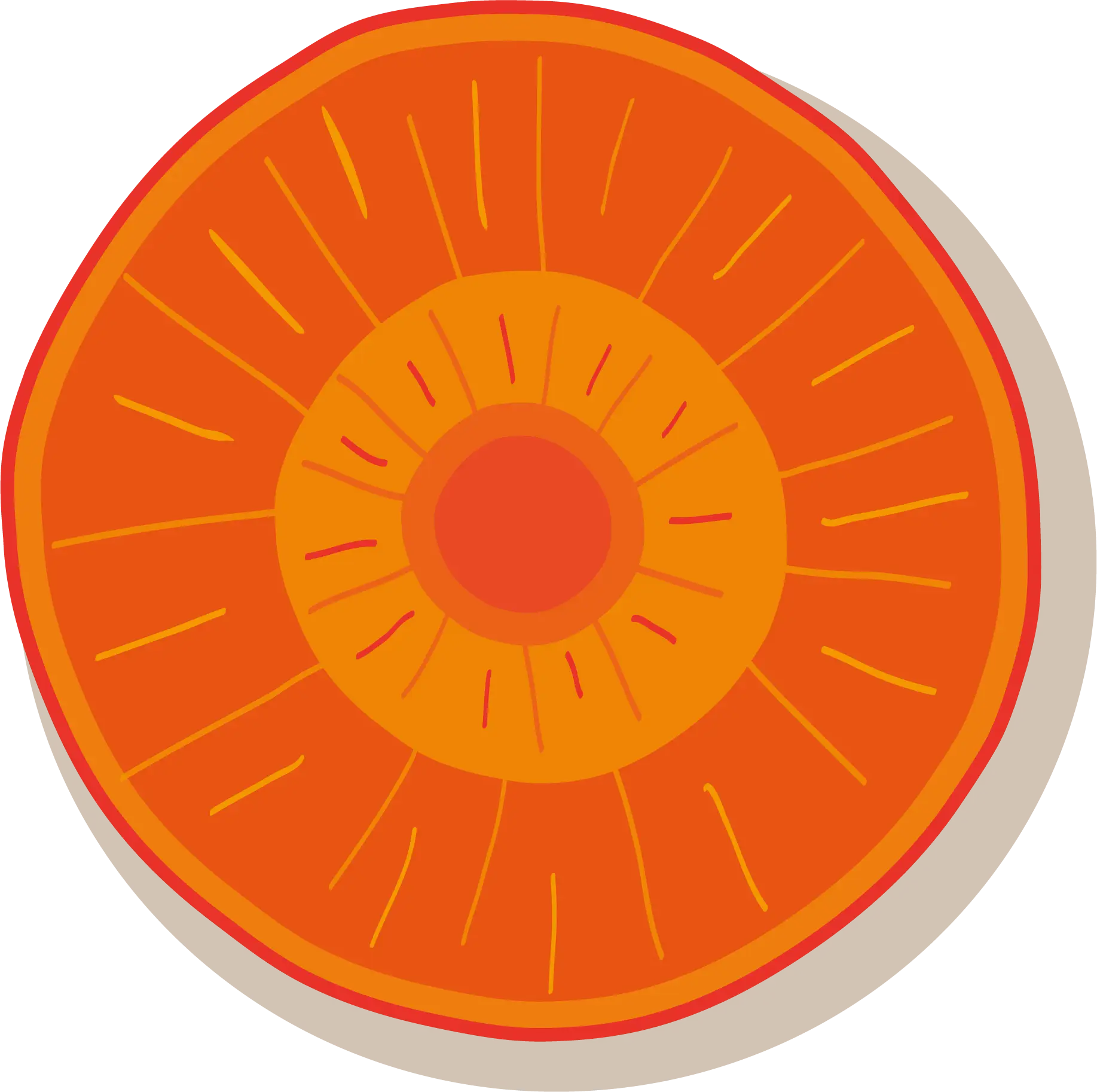 Illustration of an Orange Slice