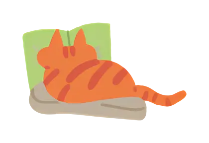 Orange Cat Reading a Book