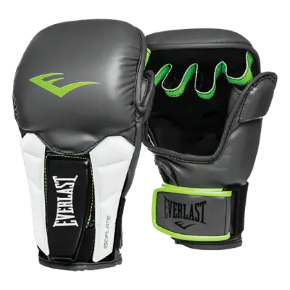 Pair of Boxing Gloves