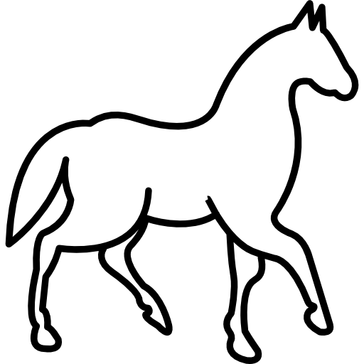 Minimal Line Art Horse Design