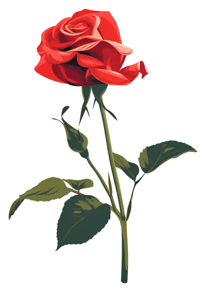 Red Rose with Green Leaves Illustration