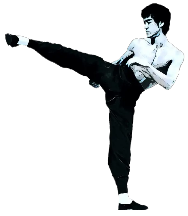 Martial Artist in Action Pose