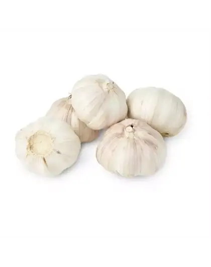 Fresh Garlic Bulbs
