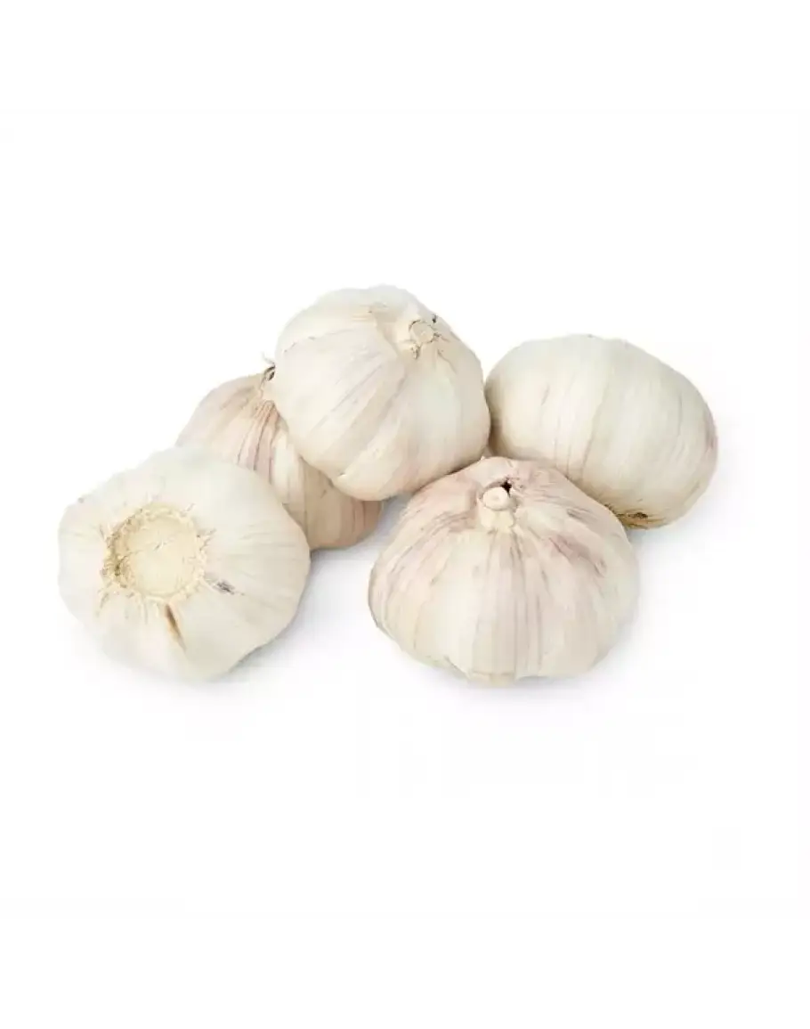 Fresh Garlic Bulbs