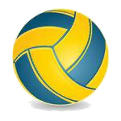 Yellow and Blue Volleyball for Sports