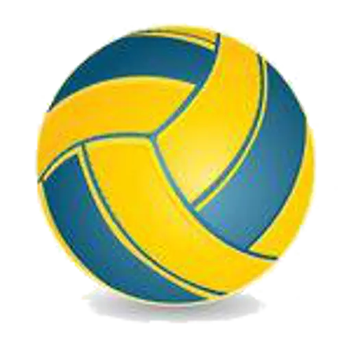 Yellow and Blue Volleyball for Sports