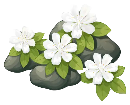 White Flowers with Green Leaves Illustration