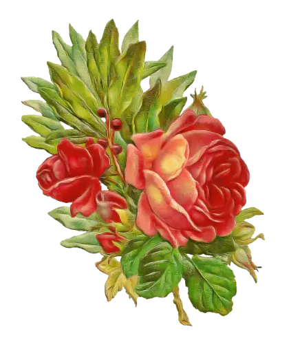 Beautiful Red Roses with Green Leaves