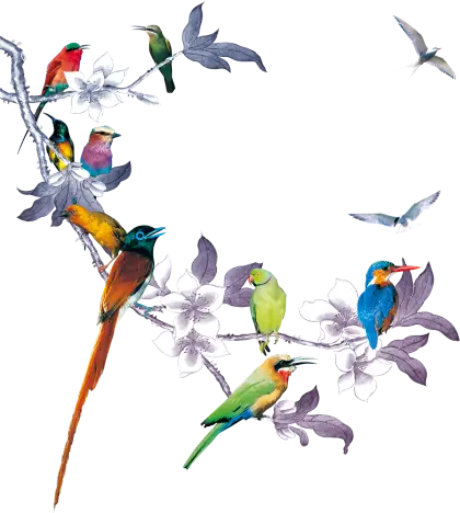 Colorful Birds on Branch Illustration