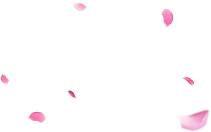 Scattered Pink Flower Petals