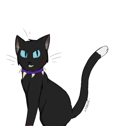Black Cartoon Cat Illustration with Collar