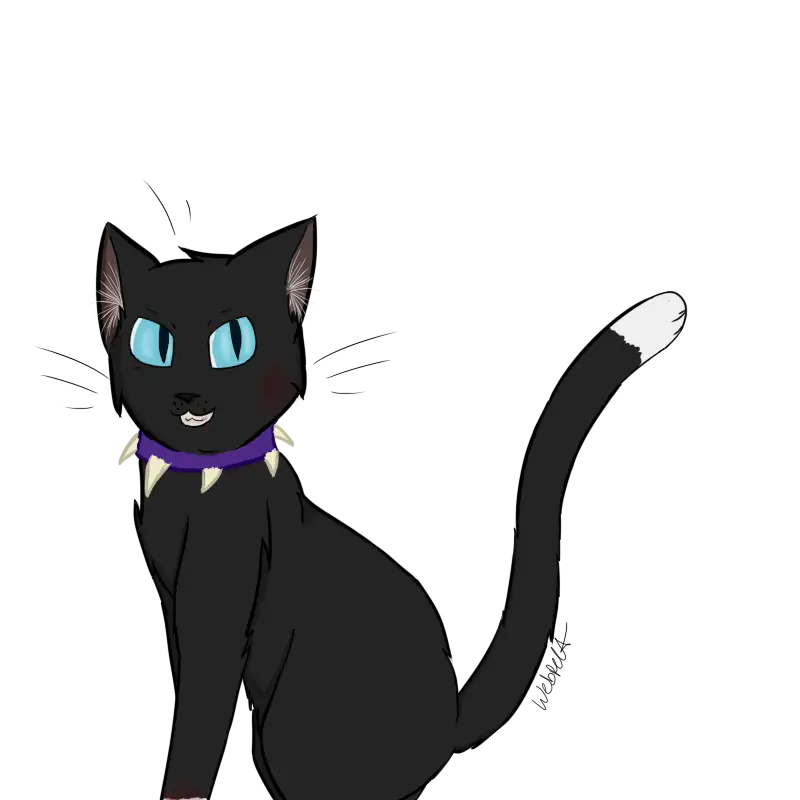 Black Cartoon Cat Illustration with Collar