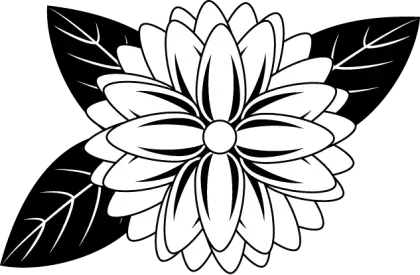 Black and White Floral Design