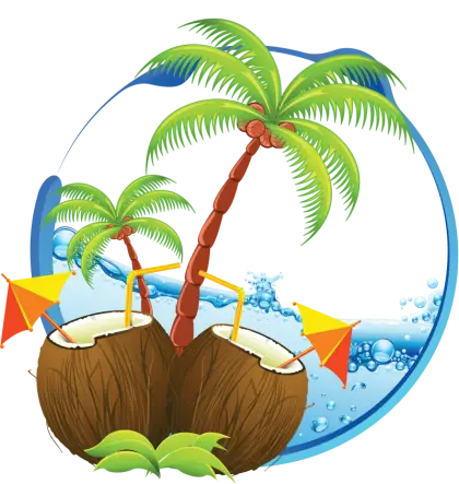 Tropical Coconuts and Palm Trees