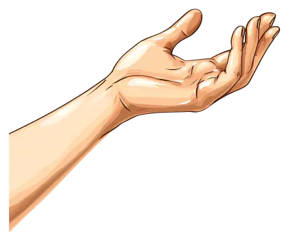 Illustration of Open Human Palm Gesture