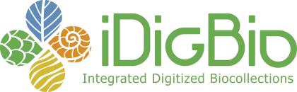 iDigBio Integrated Digitized Biocollections Logo