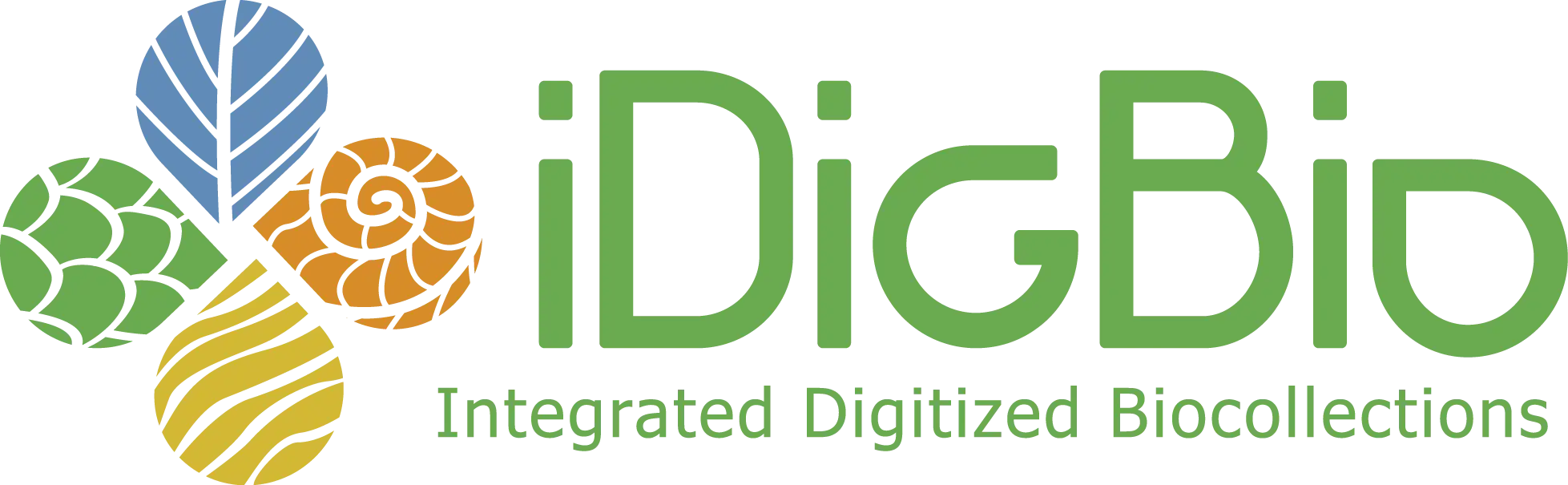 iDigBio Integrated Digitized Biocollections Logo