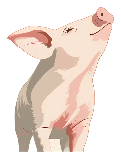 Charming Pig Illustration
