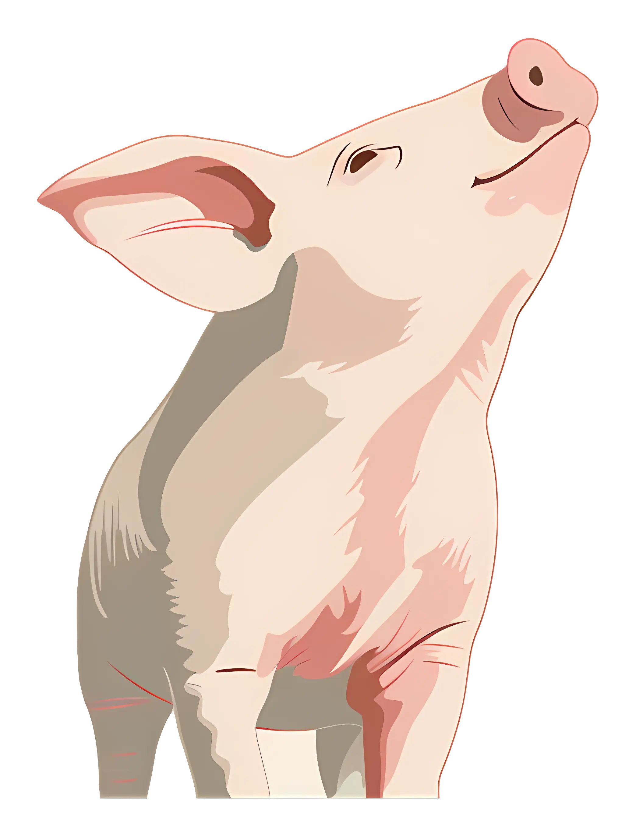 Charming Pig Illustration