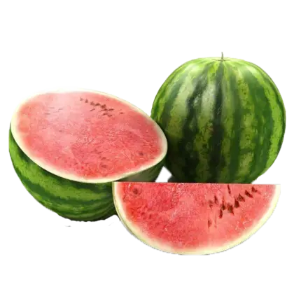 Fresh Watermelon with Slices