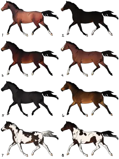 Various Colored Running Horses