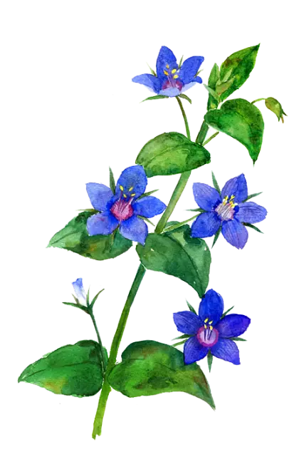 Watercolor Blue Flowers with Green Leaves