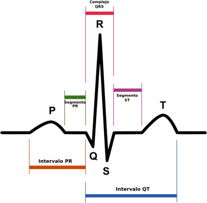 ECG Heartbeat Waveform