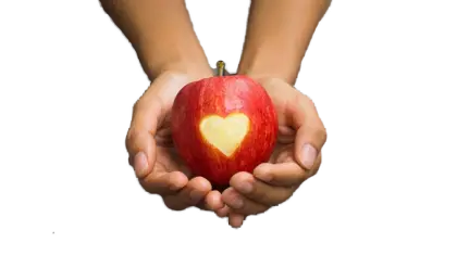 Hands Holding Red Apple with Heart