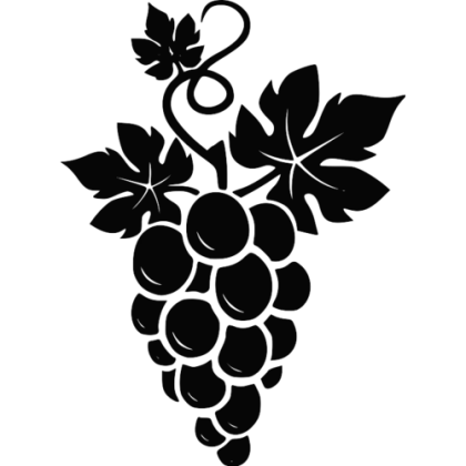 Black Grapes with Leaves Illustration