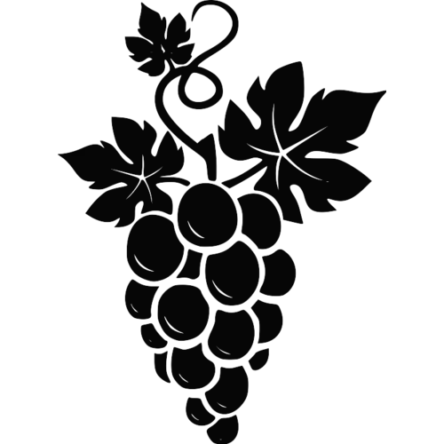 Black Grapes with Leaves Illustration