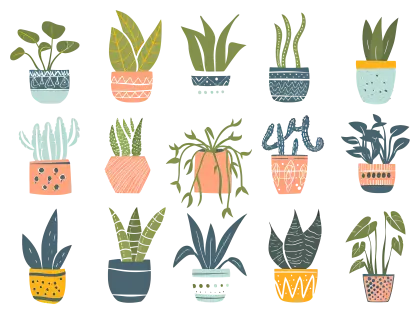 Illustrated Collection of Houseplants in Different Pots