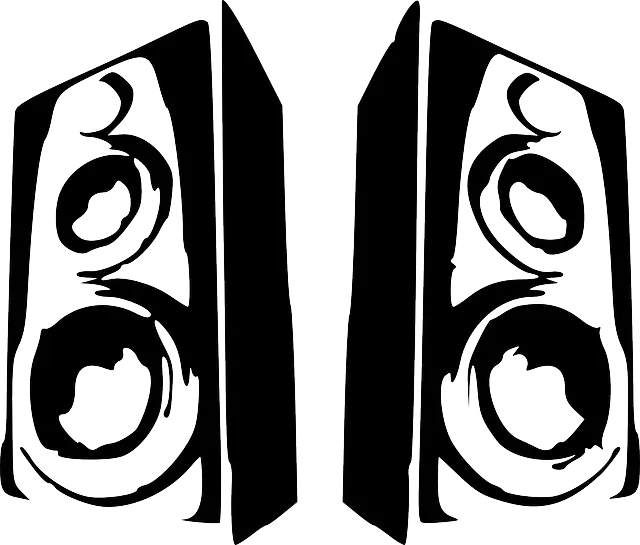 Black Audio Speakers