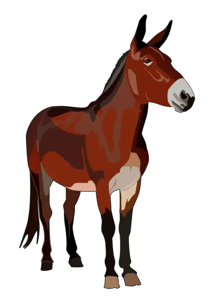 Brown Mule Illustration on Transparent Background