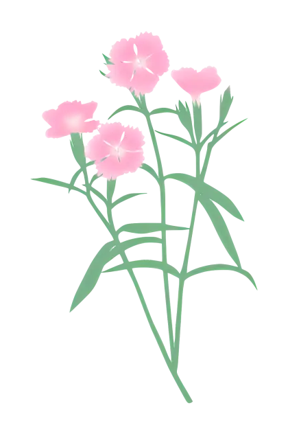 Pink Flowers with Green Stems