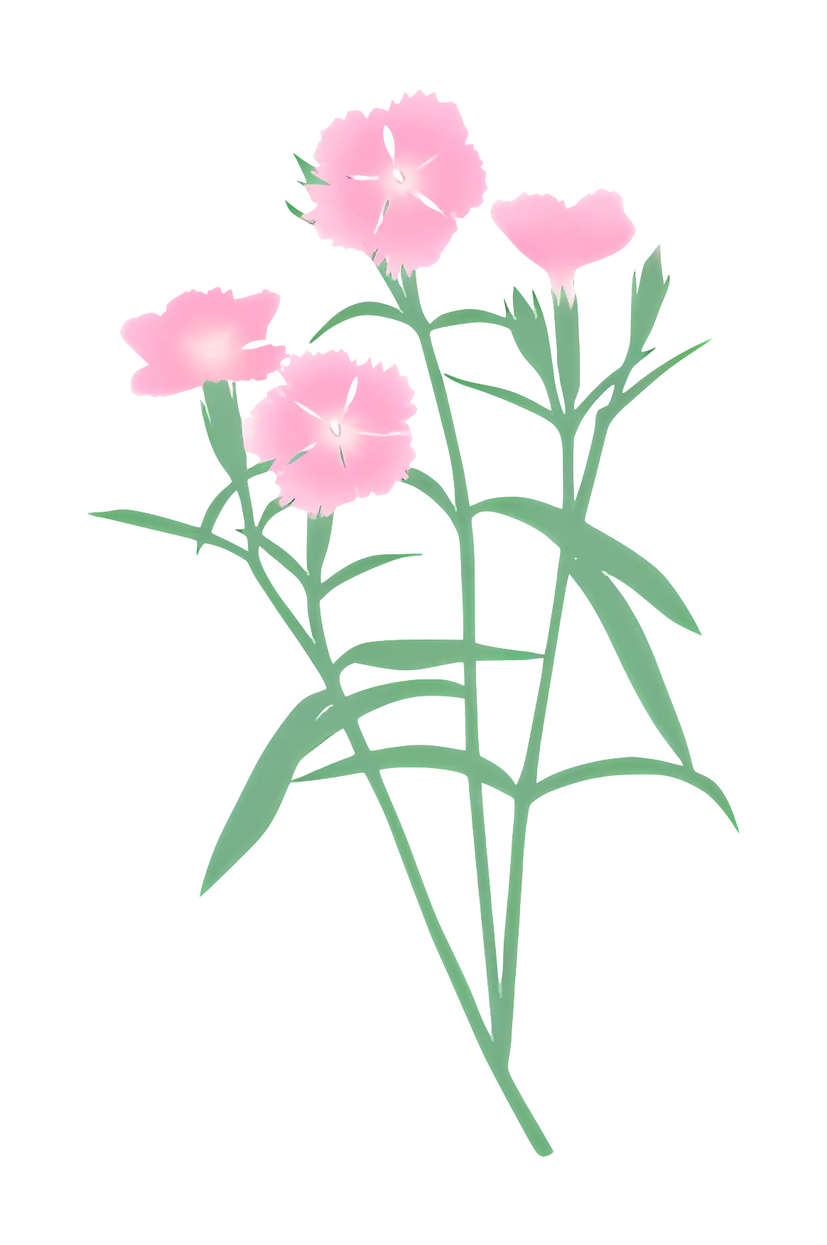 Pink Flowers with Green Stems
