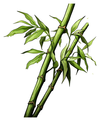 Green Bamboo Plant for Natural Decor
