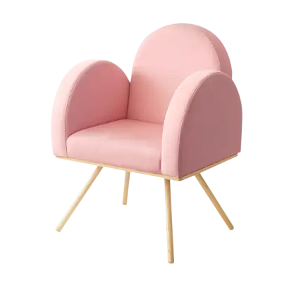 Pink Chair for Modern Living Room
