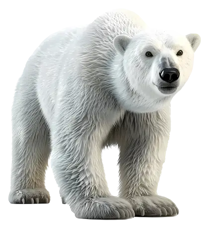 Polar Bear in Arctic Environment