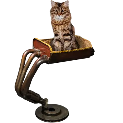 Cute Cat Sitting in a Basket