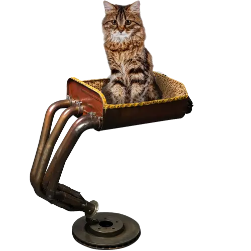 Cute Cat Sitting in a Basket